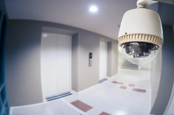 CCTV kamera veya gözetim condominium balık e ile faaliyet