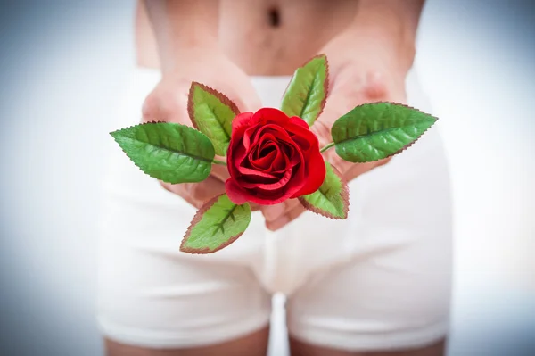 Close up of man on white boxer underware  holding red rose — Stock Photo, Image