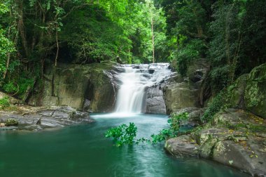Ormanda güzel bir şelale