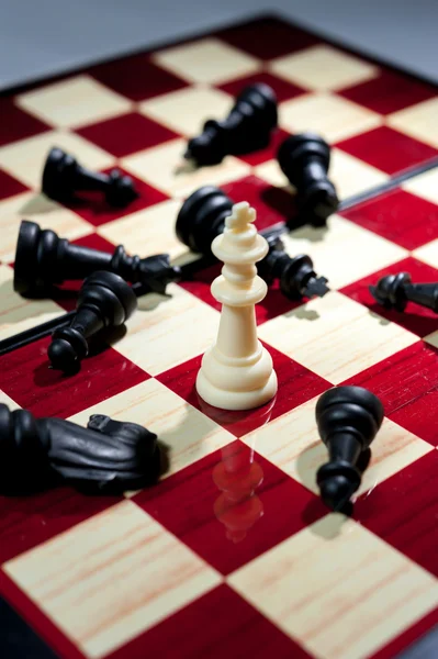 Παιχνίδι σκάκι δείχνει ο νικητής σε λευκή πλευρά conce επιχειρήσεων — Φωτογραφία Αρχείου
