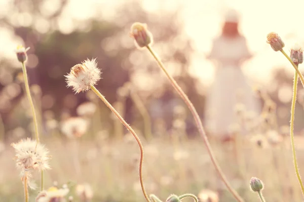 Vicino fiore in campo con sfocatura giovane donna in background — Foto Stock