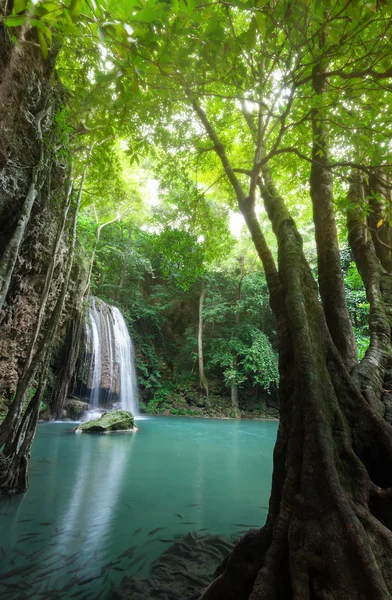 Deep forest waterfall at Erawan waterfall National Park Kanchana — Stock Photo, Image