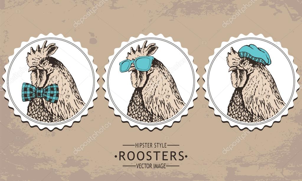 hand-drawn vector vintage hipster style rooster