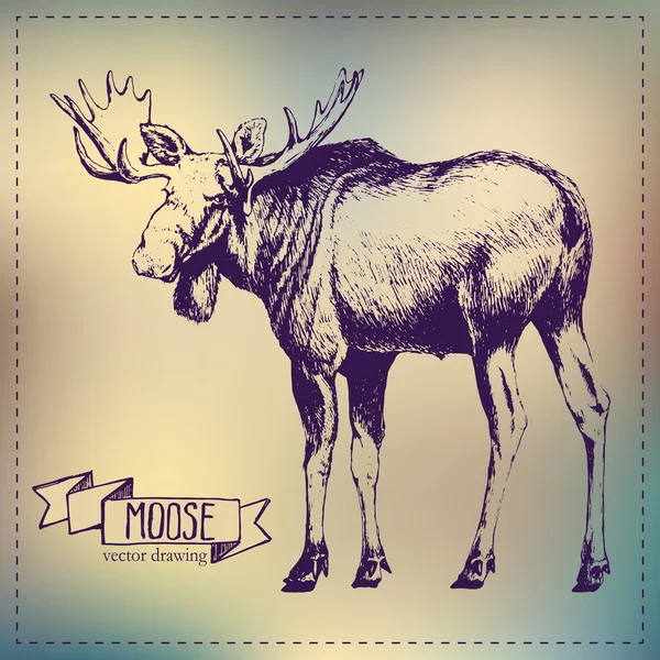 Gambar moose grafik pena - Stok Vektor