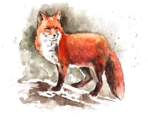 水彩手绘红狐狸 — 图库矢量图片