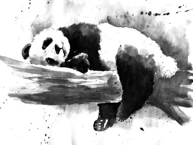Watercolor black and white panda drawing clipart