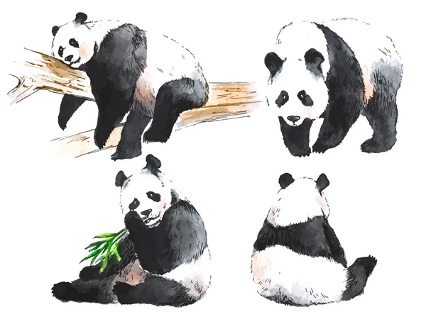 Air berwarna hitam dan putih empat panda Stok Vektor Bebas Royalti