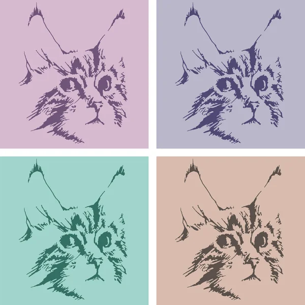 Maine Coon tekening van de kat — Stockvector