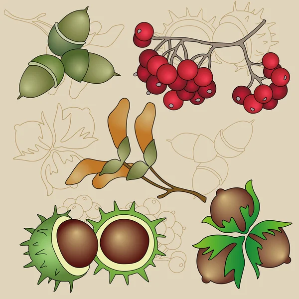 Осінні фрукти Векторний набір — стоковий вектор