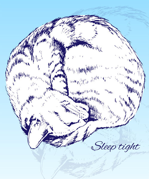 Sketch of a Sleeping Home Cat