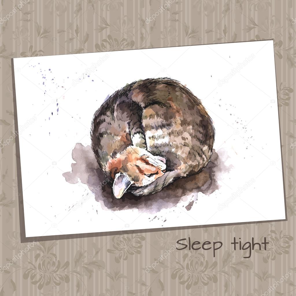 Sketch of a Sleeping Home Cat