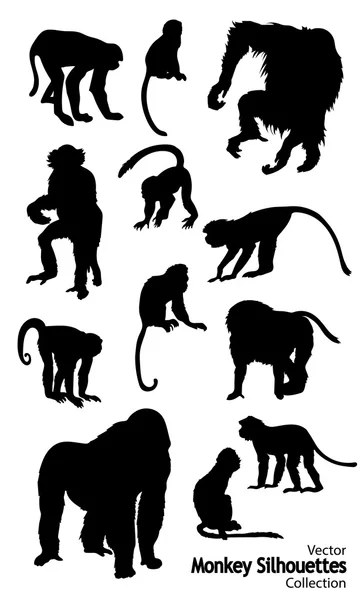 Twelve Vector Monkey silhouettes collection — Stock Vector