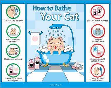 Kedi vektör grafik rehberiniz yıkanmak nasıl