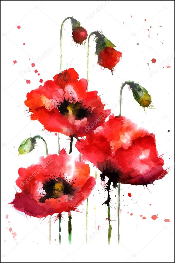 Watercolor hand-drawn poppy flowers