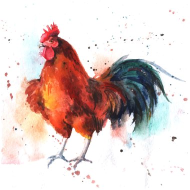 Watercolor hand-drawn bright-colored rooster clipart
