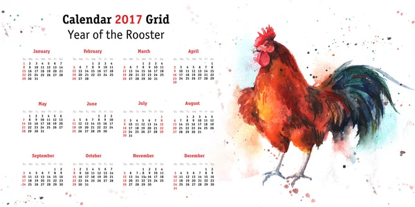 Cuadrícula del calendario 2017 con gallo acuarela dibujado a mano — Vector de stock