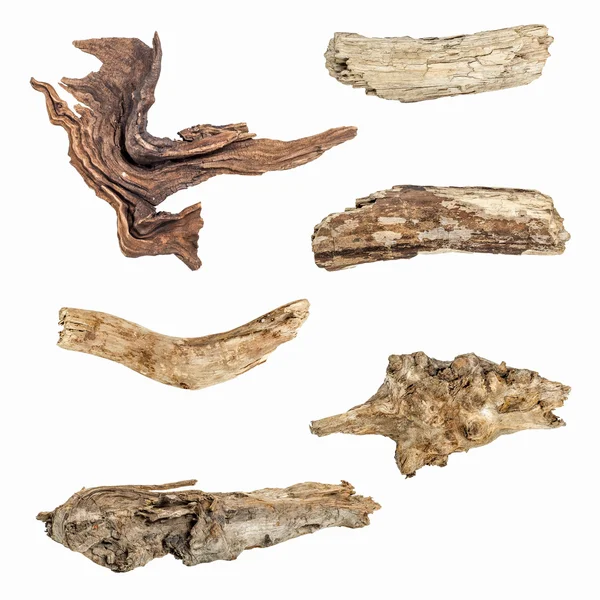 beyaz zemin üzerine (yüksek çözünürlüklü izole makro kuru dalları)