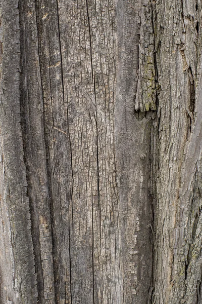 Natural wood surface for texture or background — Stock Photo, Image