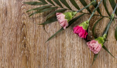 Ahşap arka plan üzerinde kırmızı ve pembe karanfil çiçek