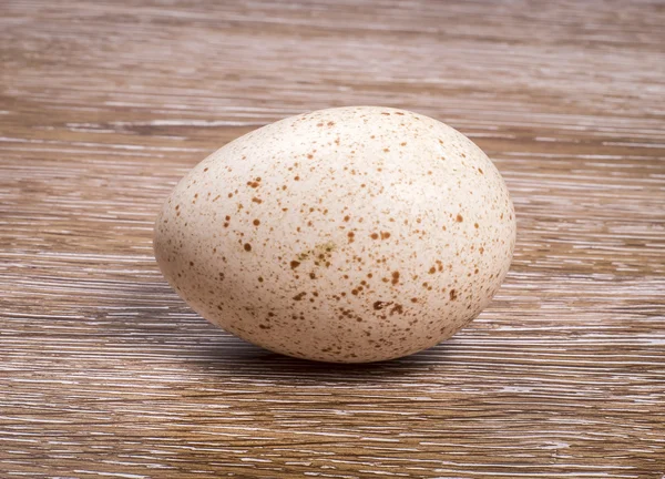 Яйцо индейки на деревянном фоне — стоковое фото
