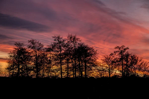 美しい夕日を背景 — ストック写真