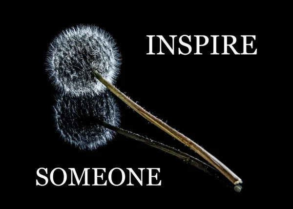 İlham verici motivasyon alıntısı Birilerine ilham ver, kara arka planda karahindiba ile.