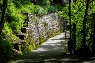 SOVATA, MURES, ROMANIA MAYIS 29 MAYIS: Romanya 'nın Transilvanya kentindeki Bear Gölü kıyısında (Lacul Ursu). 