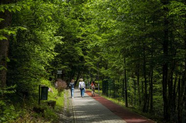 SOVATA, MURES, ROMANIA MAYIS 29 MAYIS: Romanya 'nın Transilvanya kentindeki Bear Gölü kıyısında (Lacul Ursu). 