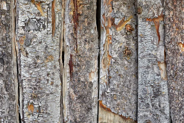 Old Cracked Wood Plank Background Wood Texture Front View Copy — Stock Photo, Image