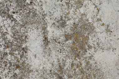 Arka planda beton dokusu olan eski gri beton duvar. Kopyalama alanı ile ön görünüm.