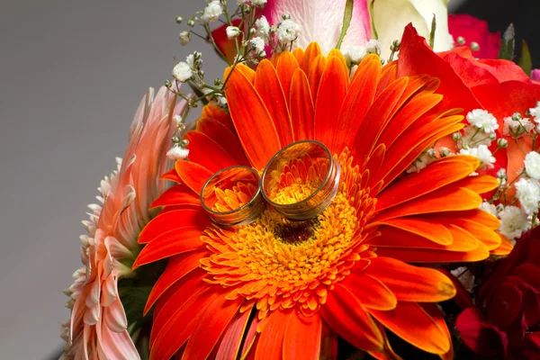 Wedding  rings — Stock Photo, Image