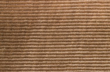 Eski kadife kot doku