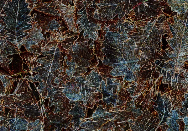 Textura abstracta — Fotografia de Stock