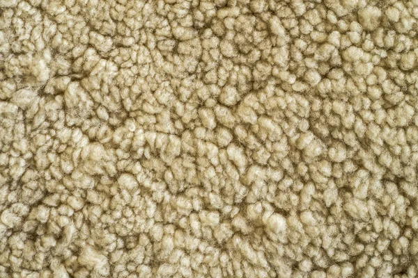 Textura de fondo de piel de oveja — Foto de Stock