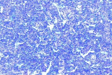 Doğal dokuya sahip soyut arkaplan