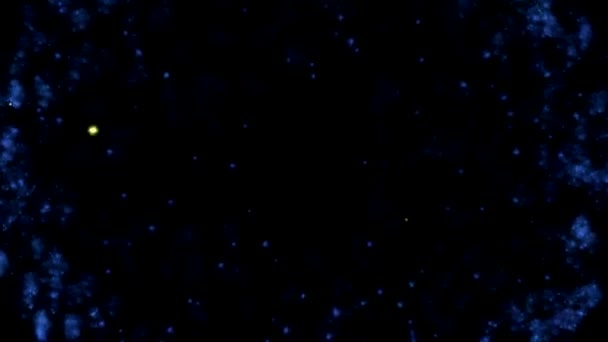 Fond d'animation feux d'artifice 