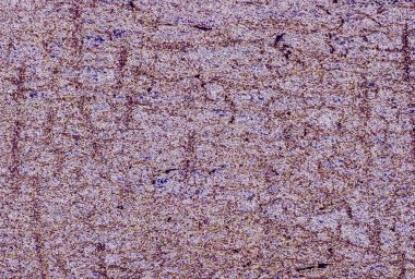 Doğal dokuya sahip soyut arkaplan