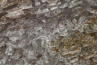 Doğal dokuya sahip soyut arkaplan