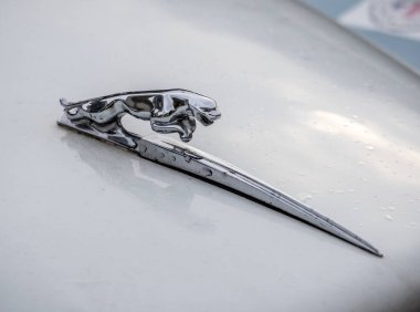 Targu-Jiu, Gorj, Romanya 22 Kasım 2025 Eski model Jaguar 'ın kaput süsü