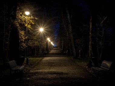  Central Park 'ta gece görüntüsü, Targu-Jiu, Romanya