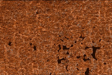 doğal doku ve düzensiz desen ile arka plan