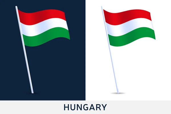 Drapeau Hongrie Dans Vent Sur Mât Isolé Sur Fond Blanc — Image vectorielle