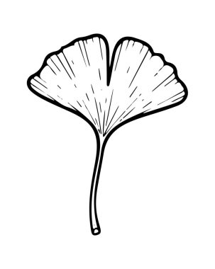 Ağaç ikonu çiziminden bir yaprak. Çizgi çizimi simgesi. Vektör illüstrasyonu.