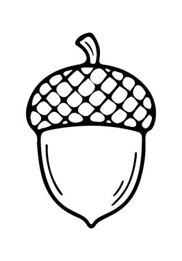 Meşe palamudu ikonu çizimi. Çizgi çizimi simgesi. Vektör illüstrasyonu.