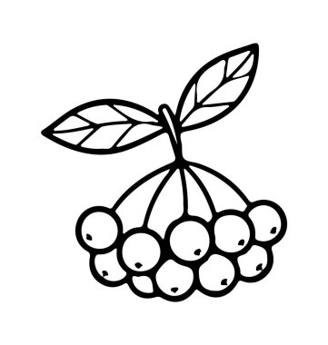 Viburnum dal simgesi karalama elle çizilmiş. Çizgi çizimi simgesi. Vektör illüstrasyonu.