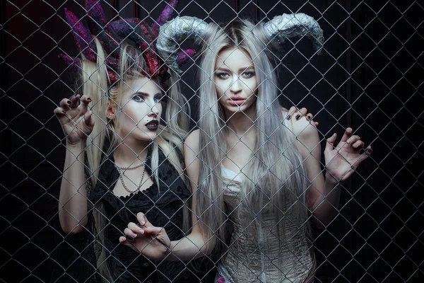 Las mujeres hermosas y horribles en la jaula . —  Fotos de Stock