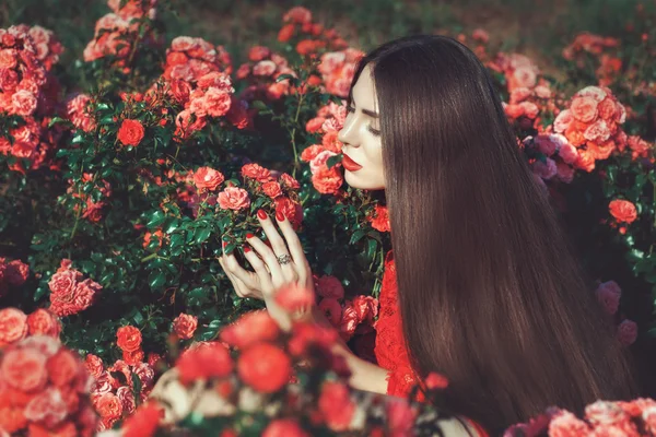 Woman touching flowers. — Stock Photo, Image