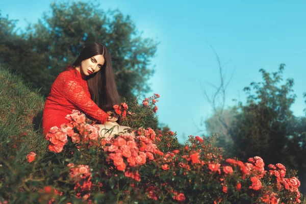 Žena sedí mezi růžovými keři. — Stock fotografie