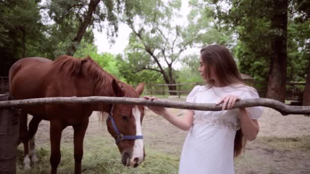 Une Jeune Femme Caresse Cheval Cheval Mange Foin — Video