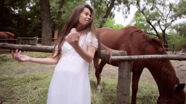 Mulher Bonita Fundo Cavalo Pastagem Rancho — Vídeo de Stock